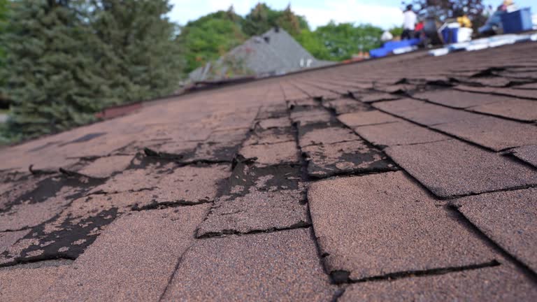 Best Sheet Metal Roofing  in Fairmount, CO